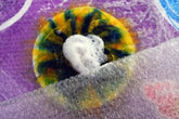Playing with Wool-Felting (June 29th -30th)